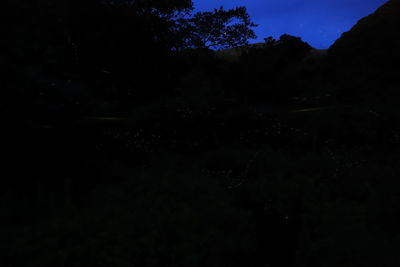 Low angle view of silhouette trees against sky at night