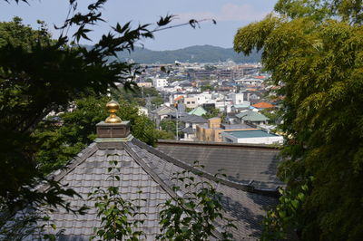 Palm trees against sky