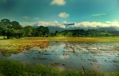 Scenic view of landscape against sky