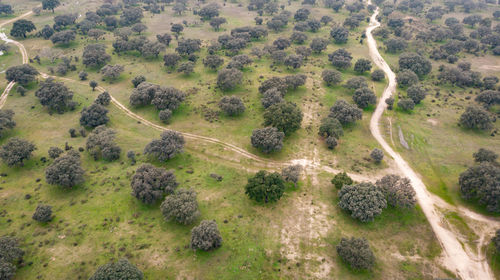 High angle view of land