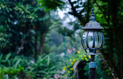 Close-up of illuminated street light in garden