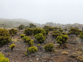 Scenic view of land against sky