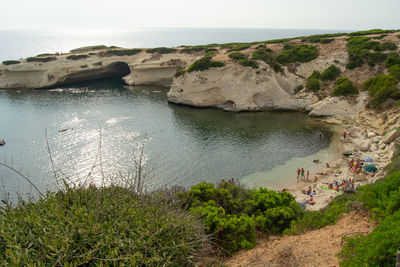 High angle view of plants on beach