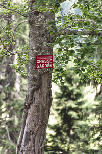 Information sign on tree trunk in forest