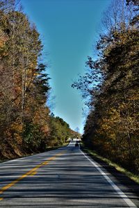 Empty road along trees