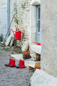 Potted plant by window