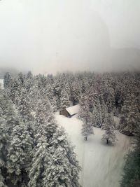 Snow covered land and trees against sky