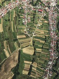 High angle view of agricultural field