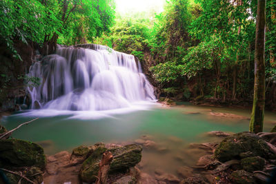 Scenic view of waterfall in forest