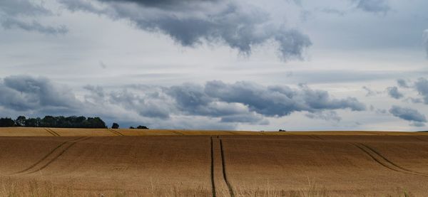 Scenic view of agricultural field against sky
