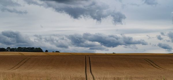 Scenic view of agricultural field against sky