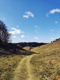Scenic view of landscape against blue sky