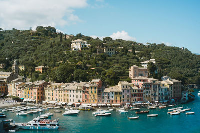 Boats moored at harbor