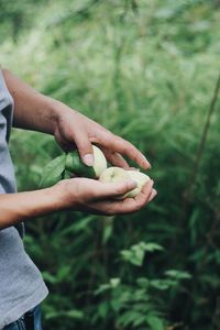 Midsection of man holding fruit