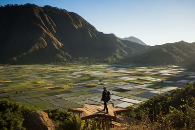 Rea view of young man standing by farm and mountains against clear sky