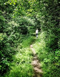 Full length of woman standing on grass