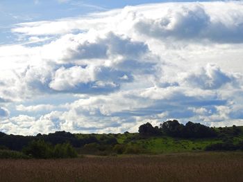 Scenic view of field against sky