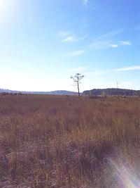 Electricity pylon on field against sky