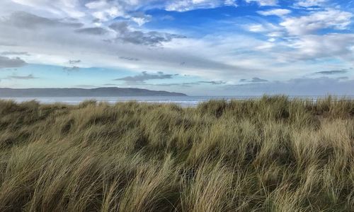 Scenic view of beach against sky