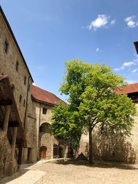 Low angle view of tree by building against sky