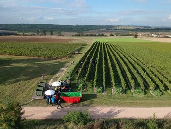 People working on agricultural field against sky