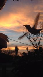 Scenic view of sky at sunset