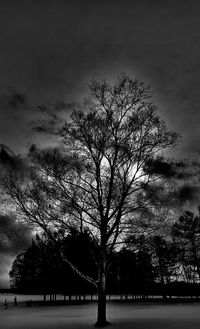 Silhouette tree on field against sky at dusk