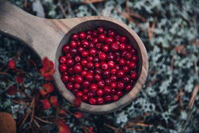 Wooden bowl full of red berries