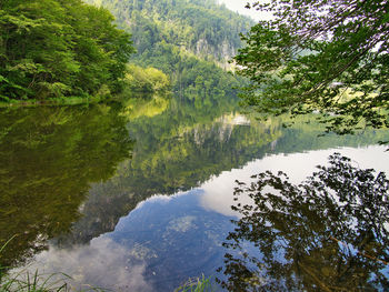 Scenic view of lake in forest against sky