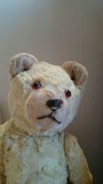 Close-up of teddy bear against wall
