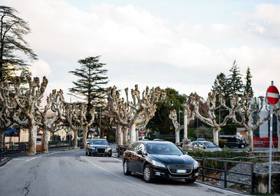 Cars on road against sky in city