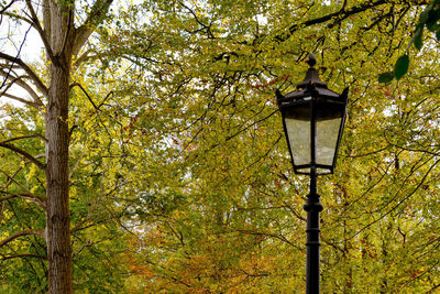 Low angle view of street light against trees