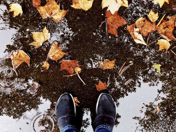 Low section of person standing on leaves during rainy season