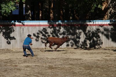 Man with horse in background