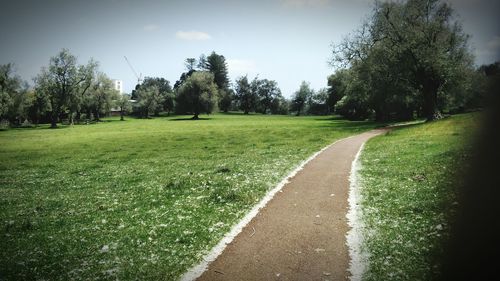 Scenic view of grass and trees against sky