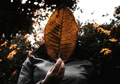 Low angle view of woman holding dry leaf while standing in park during autumn