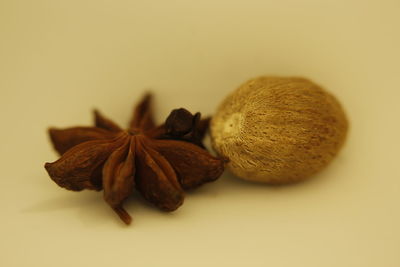 Close-up of dried fruits