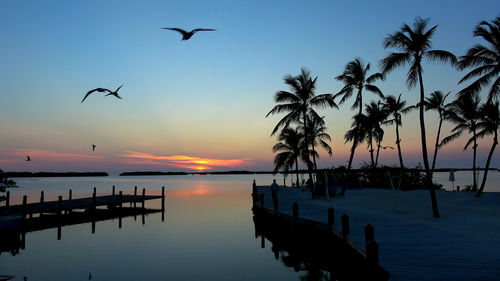 Silhouette birds flying over sea against sky