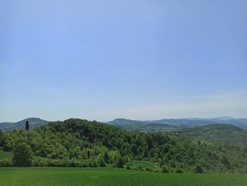 Scenic view of field against sky