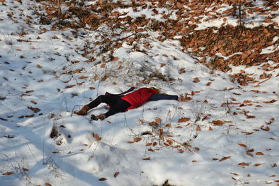 High angle view of person on snow