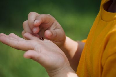 Close-up of boy holding insect