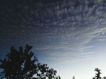 Low angle view of silhouette trees against sky