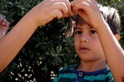 Close-up of boy holding mouse