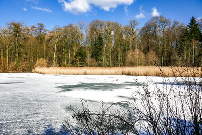 Scenic view of lake against sky during winter