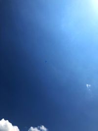 Low angle view of bird flying in sky