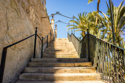 Steps leading to palm trees against clear blue sky