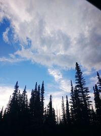 Silhouette trees in forest against sky