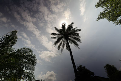 Low angle view of silhouette palm trees against sky