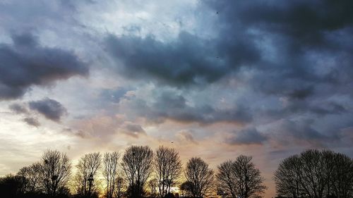 Low angle view of silhouette trees against sky