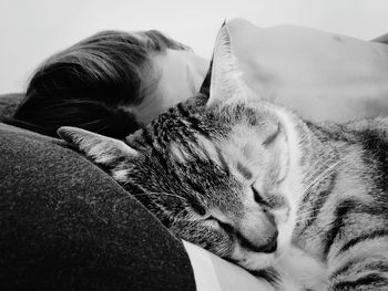 Close-up of cat sleeping on bed